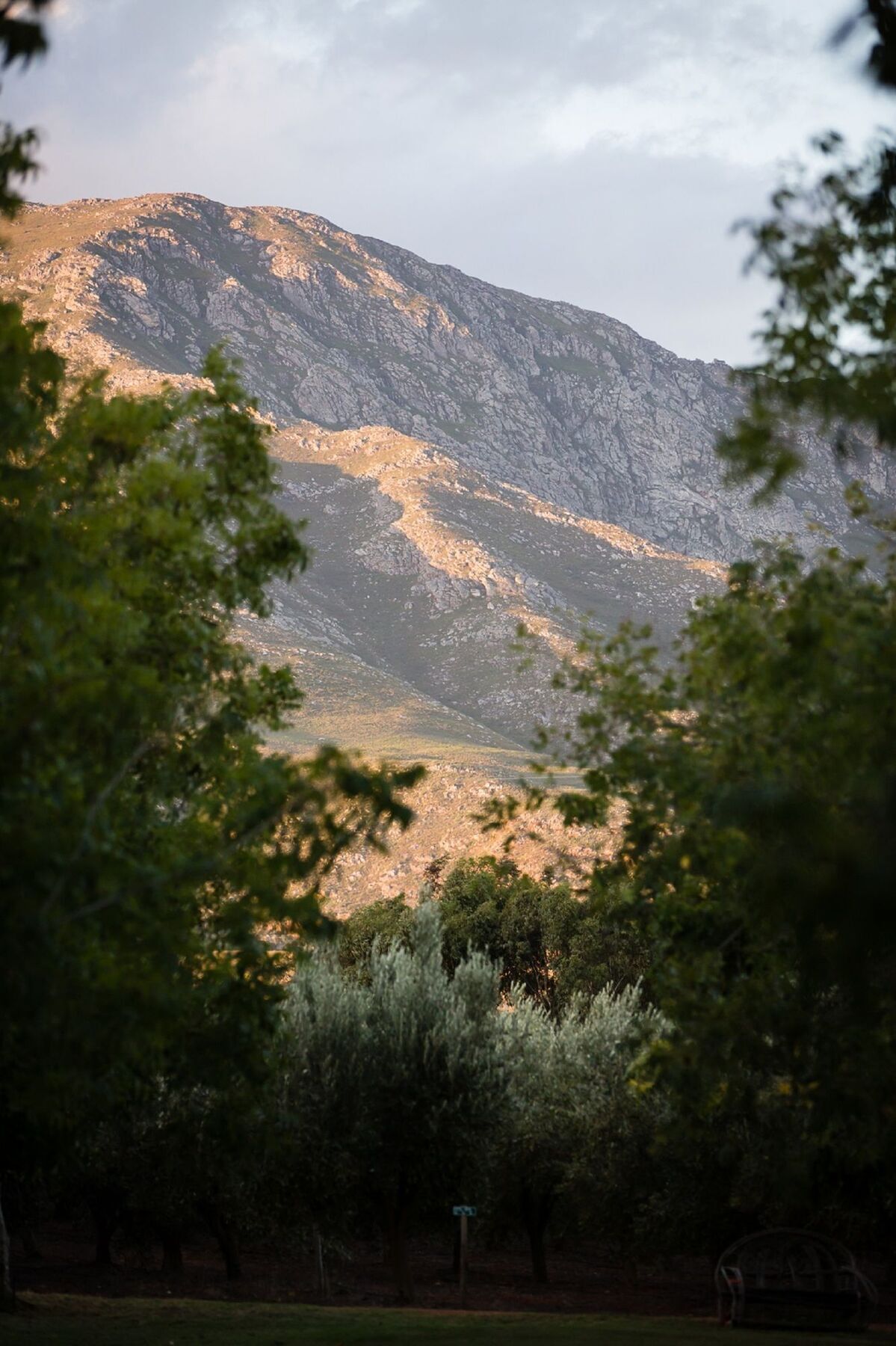 Hotel Jan Harmsgat Swellendam